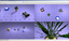 Download items